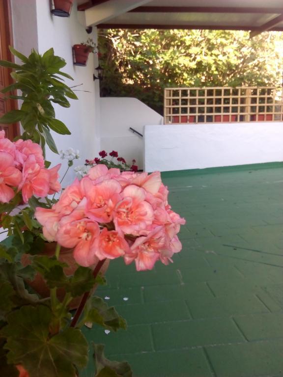 Hostal Batato Vejer de la Frontera Exterior photo